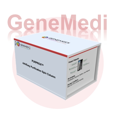 AAVEasy™ 离心柱