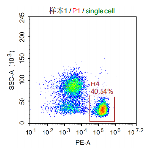 Anti-huCD3E Image 1