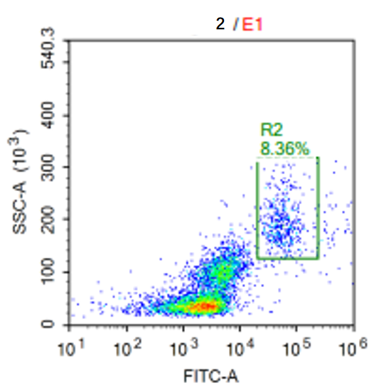 Anti-huCD66b Image 2